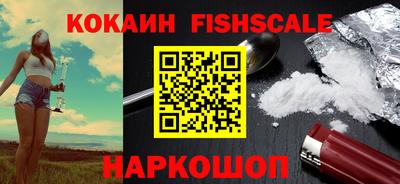 прущие грибы Новозыбков