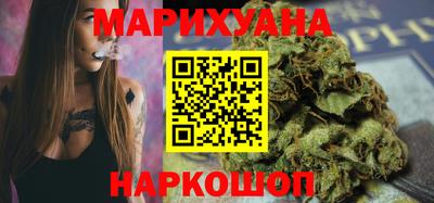 прущие грибы Новозыбков