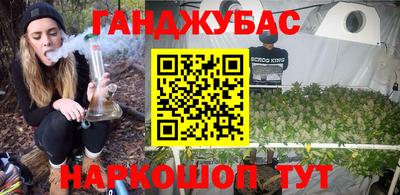 прущие грибы Новозыбков