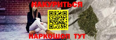 прущие грибы Новозыбков