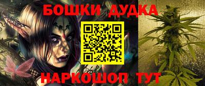 прущие грибы Новозыбков