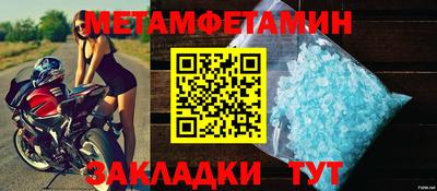 прущие грибы Новозыбков