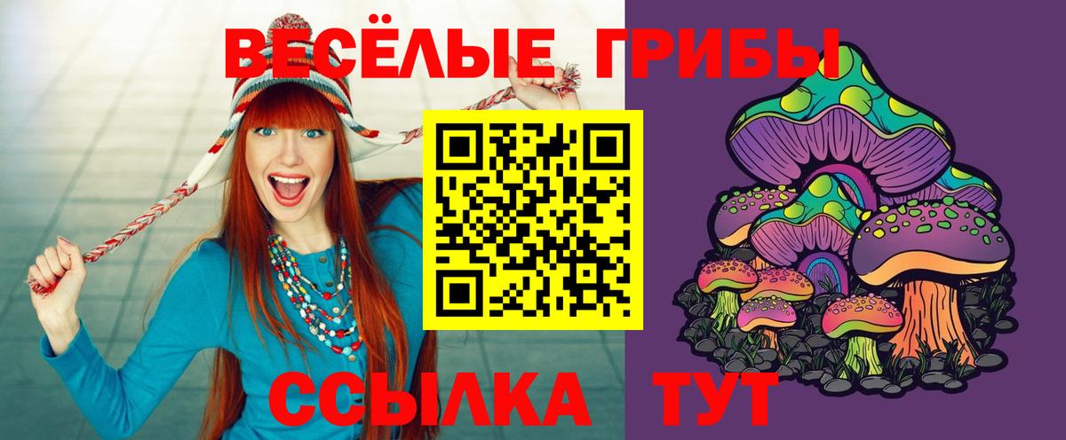 Ревда  Галлюциногенные грибы Magic Shrooms  Вход с VPN 