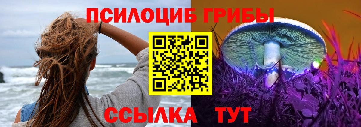 Галлюциногенные грибы MAGIC MUSHROOMS Ревда